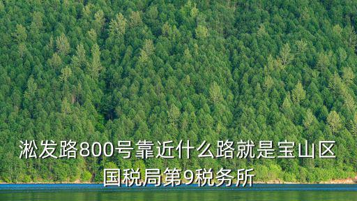 淞發(fā)路800號靠近什么路就是寶山區(qū)國稅局第9稅務(wù)所