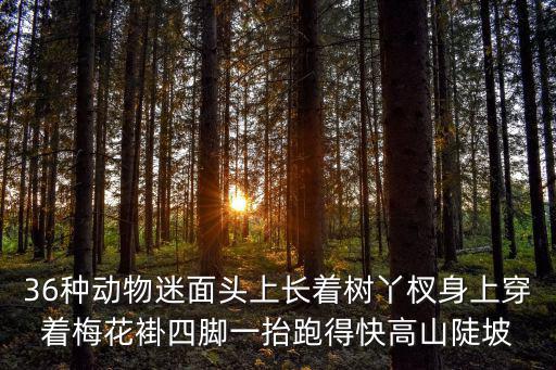 東莞高陡咭瘴褰，36種動物迷面頭上長著樹丫杈身上穿著梅花褂四腳一抬跑得快高山陡坡