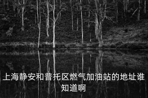 上海靜安和普托區燃氣加油站的地址誰知道啊