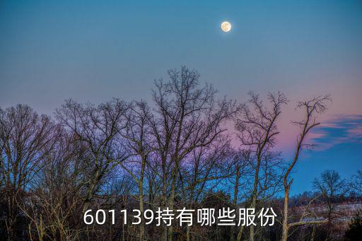601139持有哪些服份