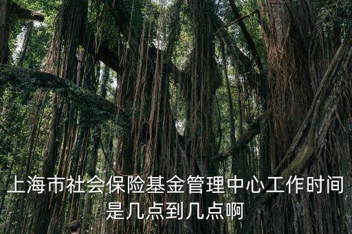 上海市寶山社保中心工作時間，請問寶平社保服務中心下午幾點上班