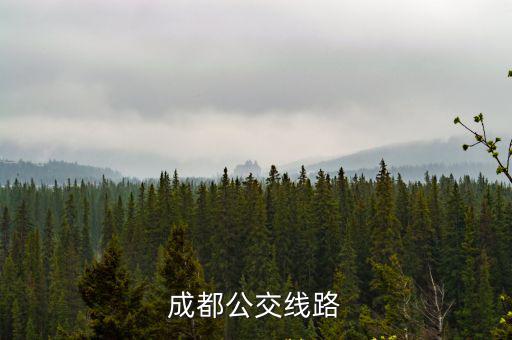 成都公交線路