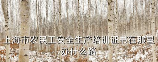 上海市農民工安全生產培訓證書在那里辦什么路