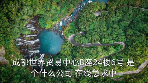 成都市天海天商貿有限公司，成都世界貿易中心B座24樓6號 是個什么公司 在線急求中