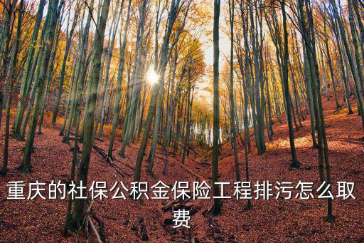 重慶的社保公積金保險(xiǎn)工程排污怎么取費(fèi)