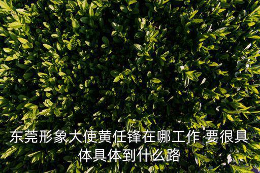 東莞市玖熙實業有限公司，東莞形象大使黃任鋒在哪工作 要很具體具體到什么路