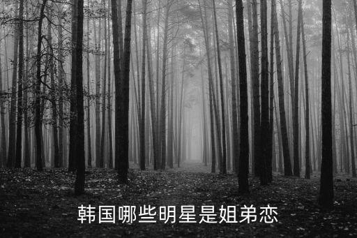 韓國哪些明星是姐弟戀