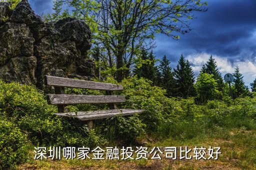 深圳哪家金融投資公司比較好
