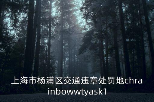 上海市楊浦區交通違章處罰地chrainbowwtyask1