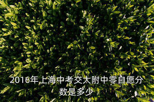 2016年上海中考交大附中零自愿分數是多少