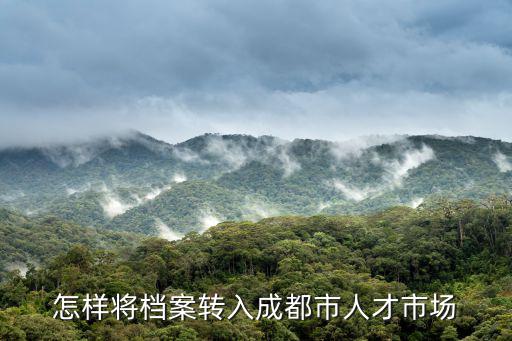 成都市國資委人才儲備庫，怎樣將檔案轉入成都市人才市場