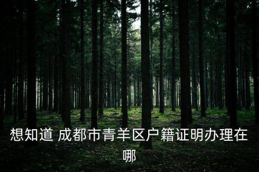 想知道 成都市青羊區(qū)戶籍證明辦理在哪