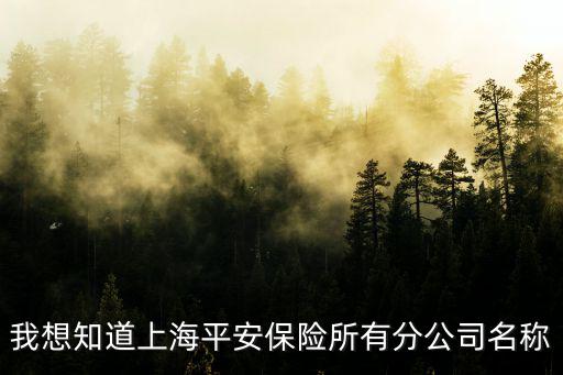 我想知道上海平安保險(xiǎn)所有分公司名稱