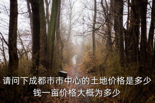 請問下成都市市中心的土地價格是多少錢一畝價格大概為多少
