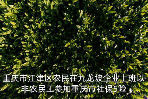 重慶市江津區(qū)農(nóng)民在九龍坡企業(yè)上班以非農(nóng)民工參加重慶市社保5險