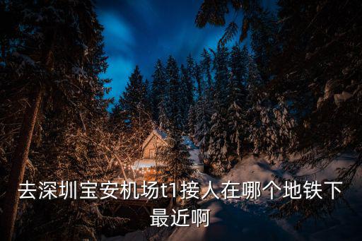 去深圳寶安機(jī)場t1接人在哪個(gè)地鐵下最近啊