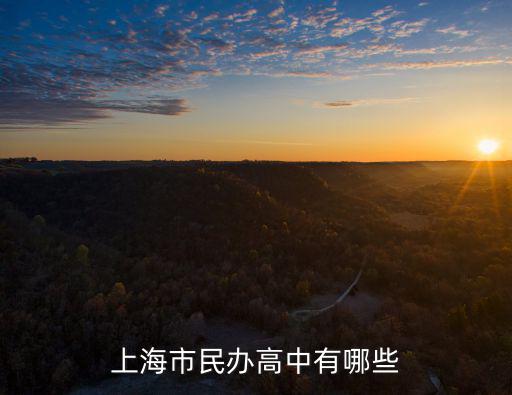 上海市民辦高中有哪些