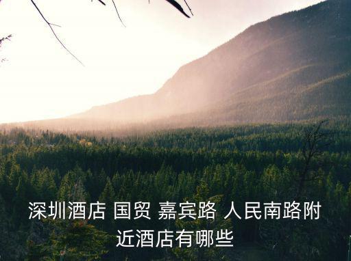 深圳酒店 國貿 嘉賓路 人民南路附近酒店有哪些