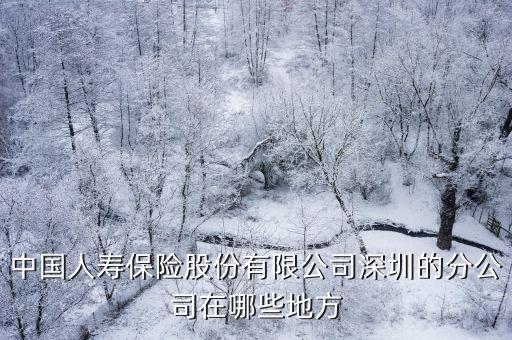 中國人壽保險股份有限公司深圳的分公司在哪些地方