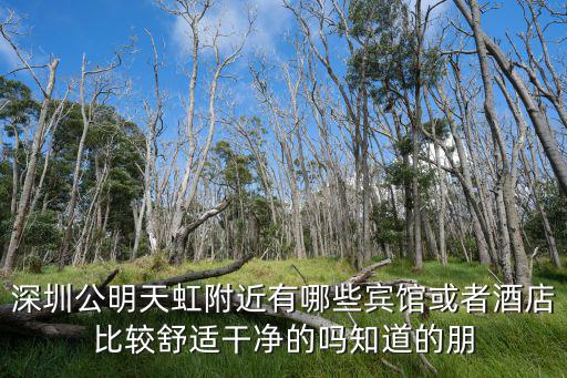 深圳公明天虹附近有哪些賓館或者酒店比較舒適干凈的嗎知道的朋
