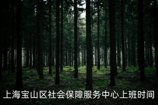 上海寶山區(qū)社會保障服務(wù)中心上班時(shí)間
