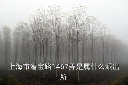 上海市漕寶路1467弄是屬什么派出所