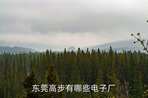 東莞高步特斯艾電子廠60，東莞高步有哪些電子廠