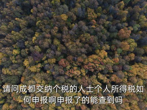 請問成都交納個稅的人士個人所得稅如何申報啊申報了的能查到嗎