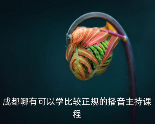 成都哪有可以學比較正規(guī)的播音主持課程
