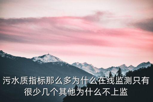 污水質指標那么多為什么在線監測只有很少幾個其他為什么不上監