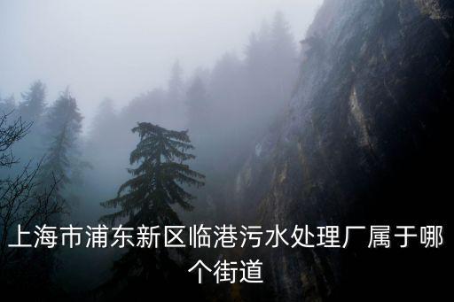 上海市浦東新區臨港污水處理廠屬于哪個街道