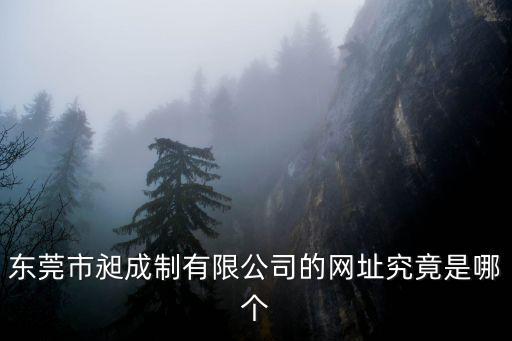 東莞市昶成制有限公司的網址究竟是哪個