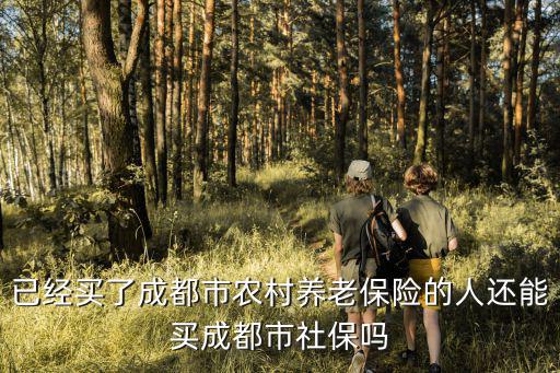 已經買了成都市農村養老保險的人還能買成都市社保嗎