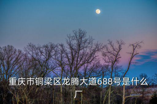 重慶市銅梁區龍騰大道688號是什么廠