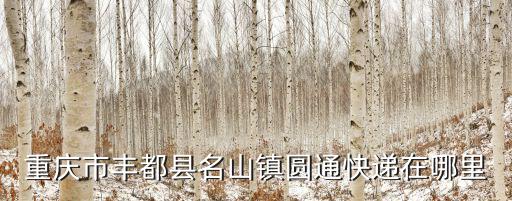重慶市豐都縣圓通，從重慶市豐都縣社壇鎮(zhèn)郵快件到成都需幾天