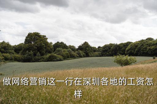 做網(wǎng)絡(luò)營銷這一行在深圳各地的工資怎樣