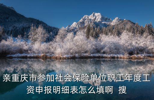 親重慶市參加社會保險單位職工年度工資申報明細表怎么填啊  搜