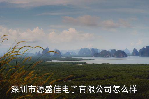 深圳市方元騏成電子商務有限公司，深圳市新愛購國際電子商務有限公司是真實的嗎