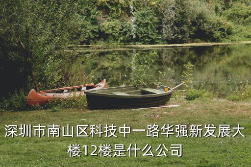 深圳市福祿思科技有限公司，誰知道深圳市佳和華強大廈B座 31樓有些什么公司