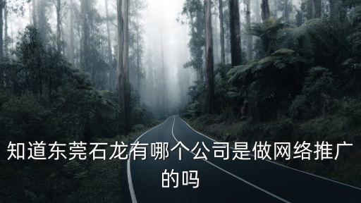 知道東莞石龍有哪個公司是做網絡推廣的嗎