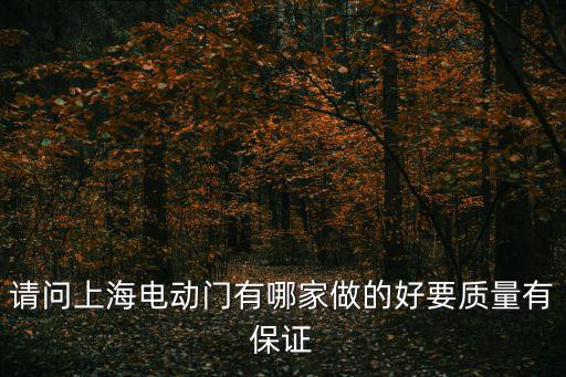 請問上海電動門有哪家做的好要質(zhì)量有保證