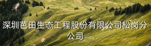 深圳芭田生態工程股份有限公司松崗分公司
