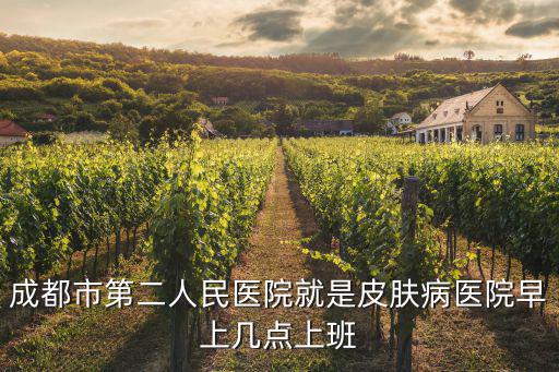 成都市第二人民醫(yī)院就是皮膚病醫(yī)院早上幾點(diǎn)上班
