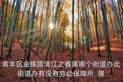 成都市清江西路二手房，成都清江西路51號是干什么的