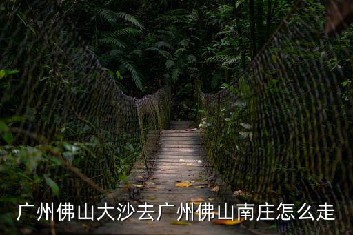 廣州佛山大沙去廣州佛山南莊怎么走