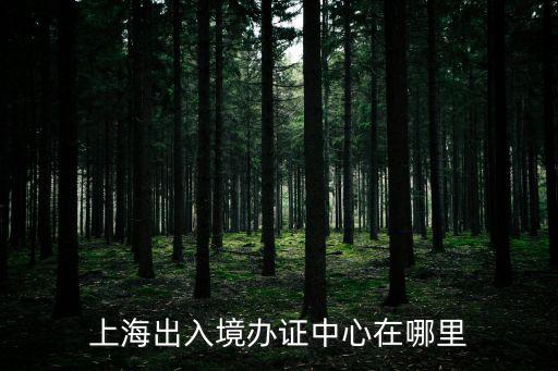 上海出入境辦證中心在哪里