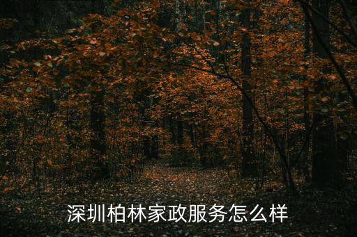 深圳柏林家政服務怎么樣