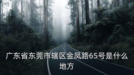 廣東省東莞市轄區金鳳路65號是什么地方