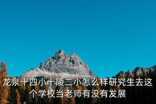 成都市十陵二小，成都 二小