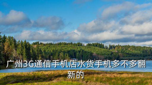 廣州3G通信手機店水貨手機多不多翻新的